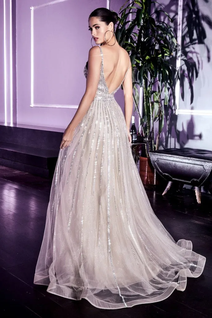 A-line Embellished Tulle Gown CD940