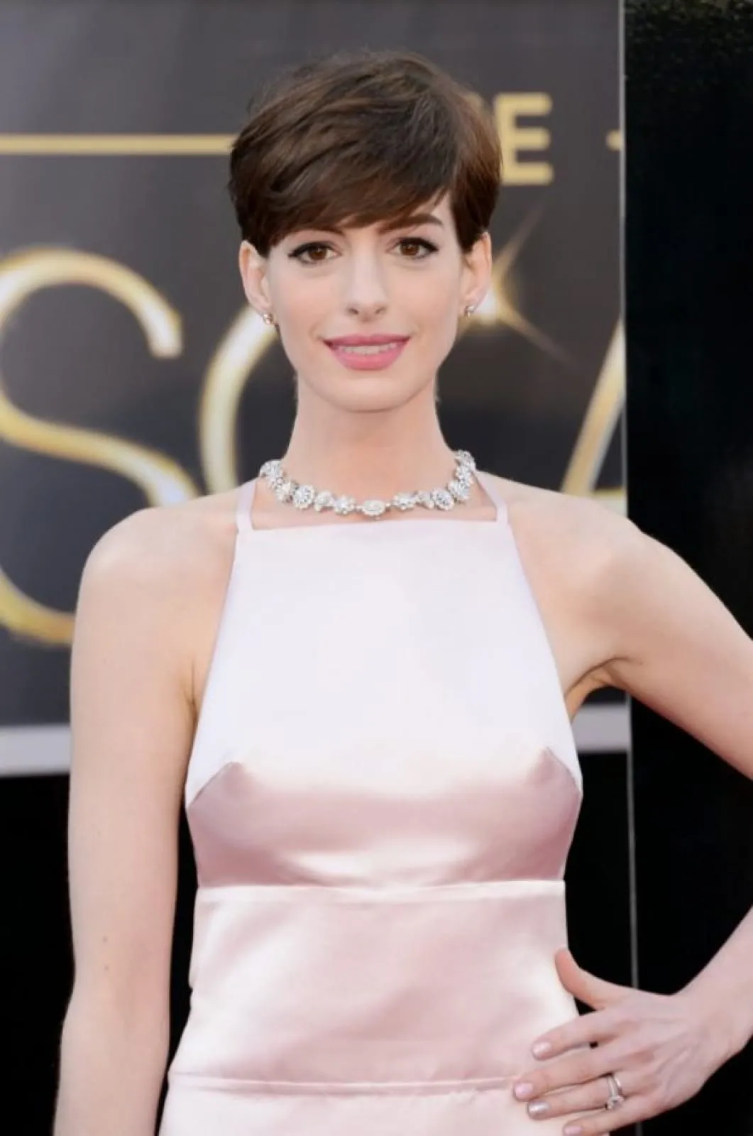 Anne Hathaway Pink Satin Sleeveless Open Back Celebrity Evening Dress Oscars 2013 Red Carpet