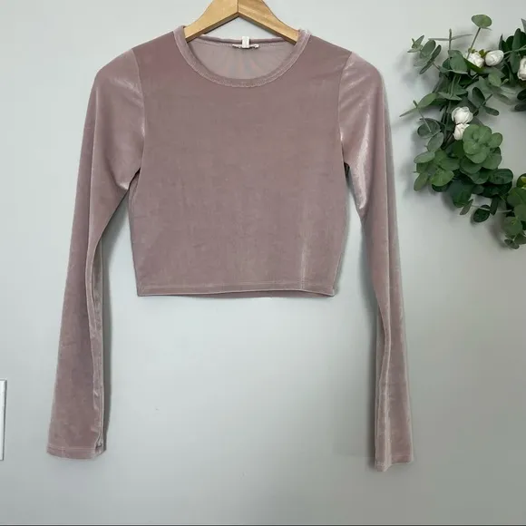 Aritzia Wilfred Free Pink Velour Bela Skirt Set