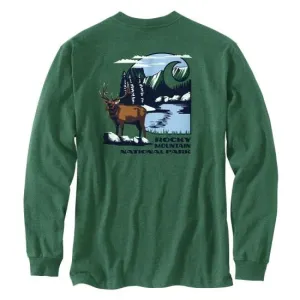 Carhartt Men's Men's Loose Fit Heavyweight Long-Sleeve Rocky Mountain National Park Graphic T-Shirt