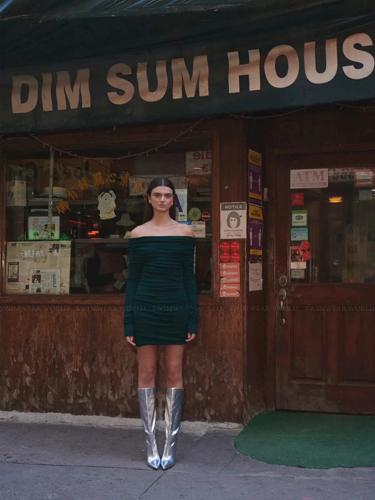 Fuji Mini Dress
