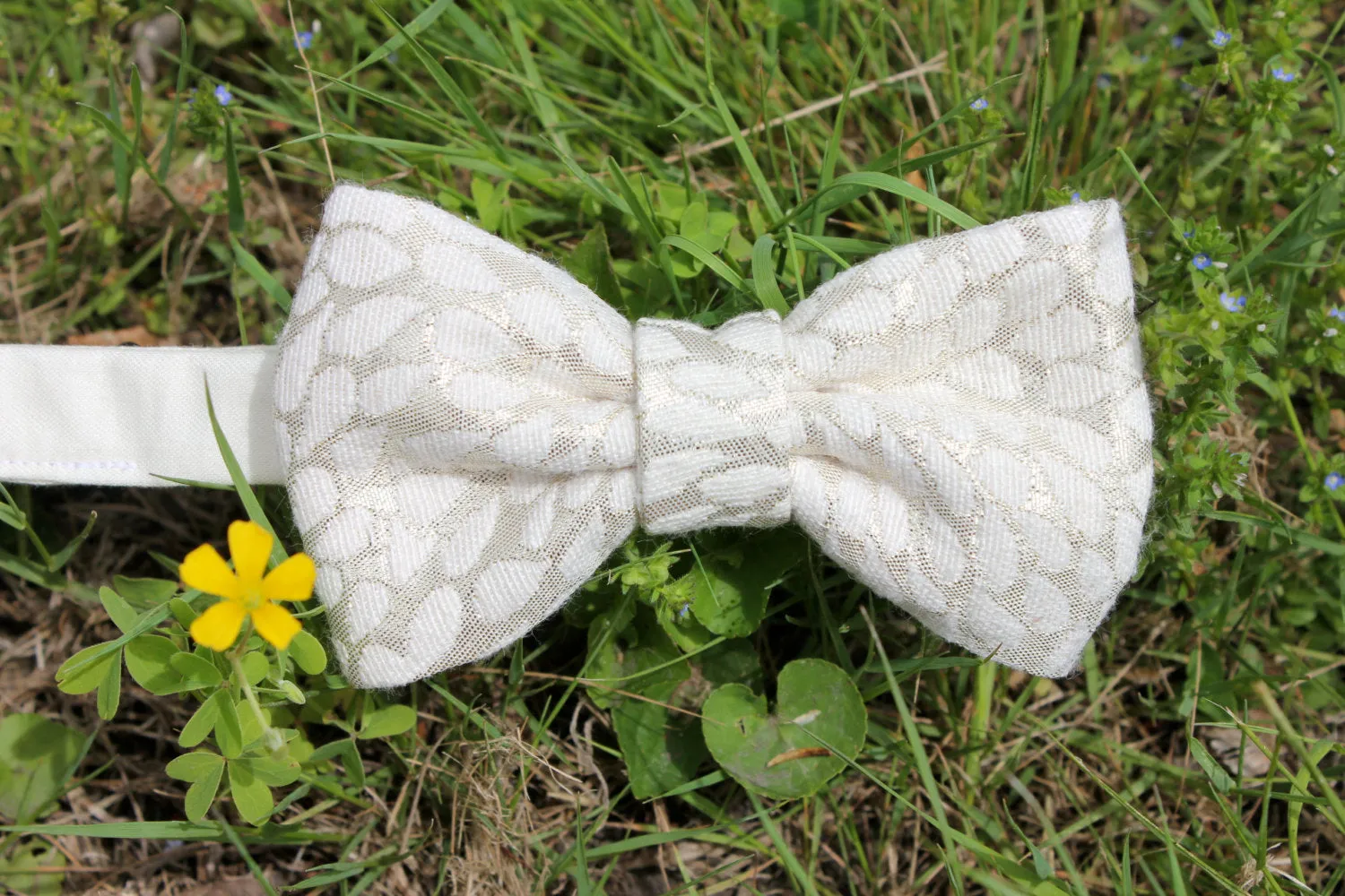 Ivory & Metallic Silver Bow Tie