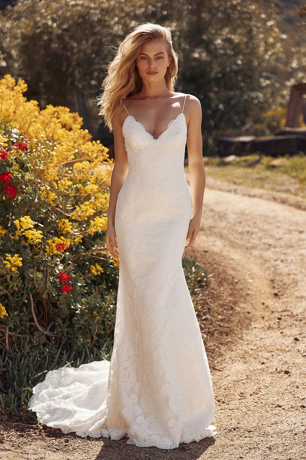 Katie May Lanai Open Back Wedding Gown Ivory / Blush XL