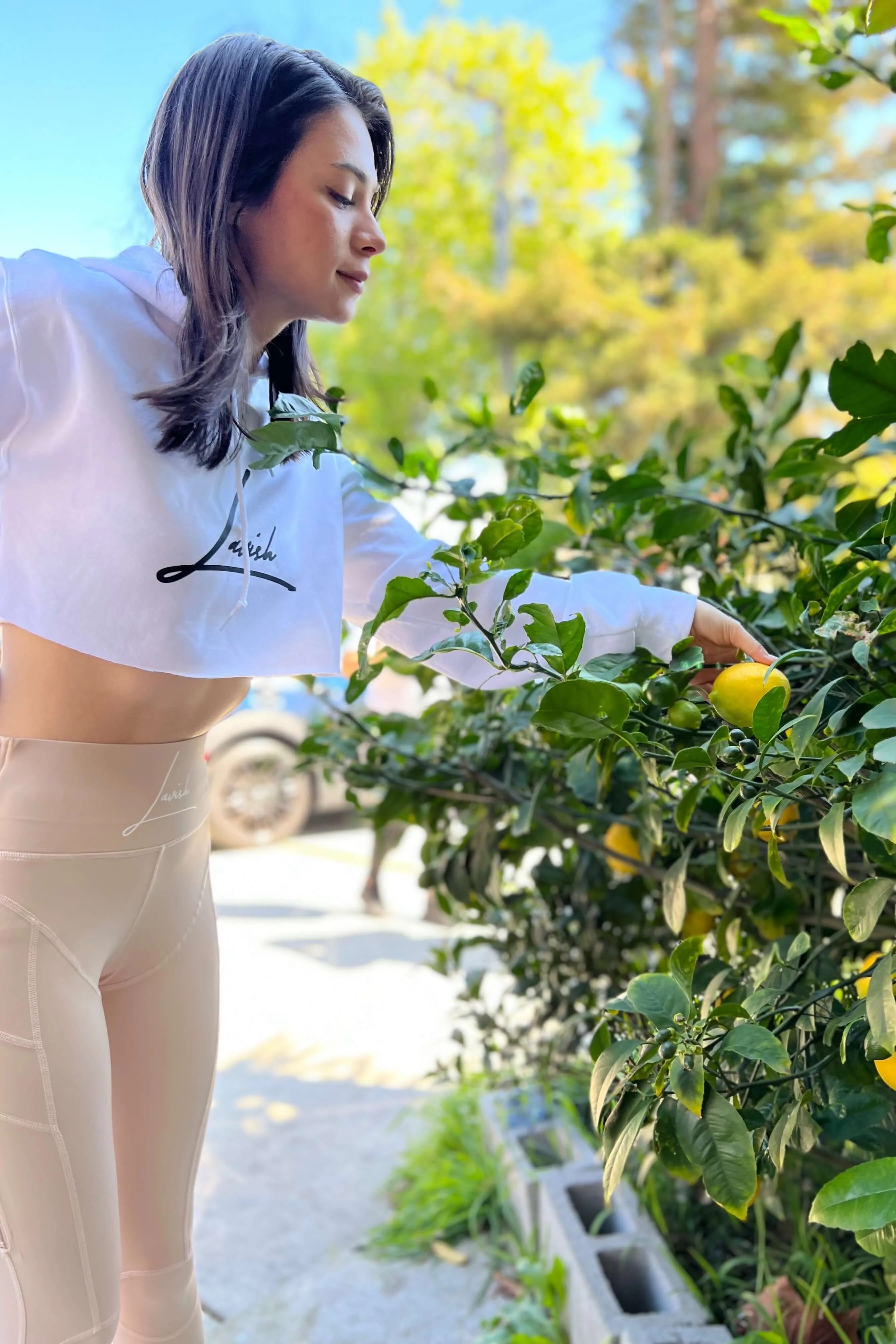 Lavish Signature Crop Hoodie