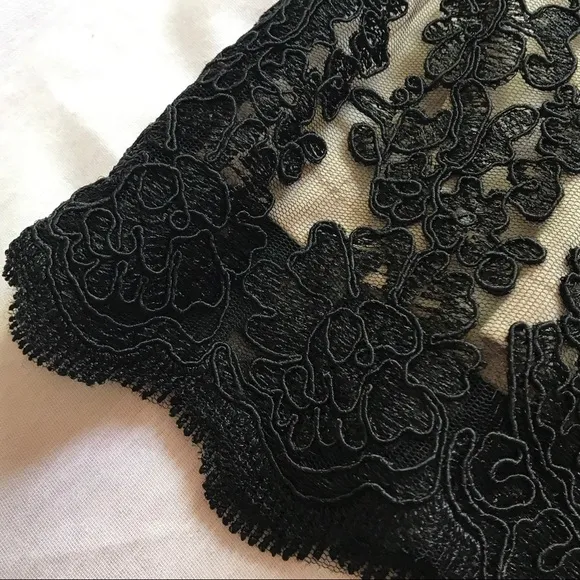 lf seek the label ⋆ lace   mesh skirt