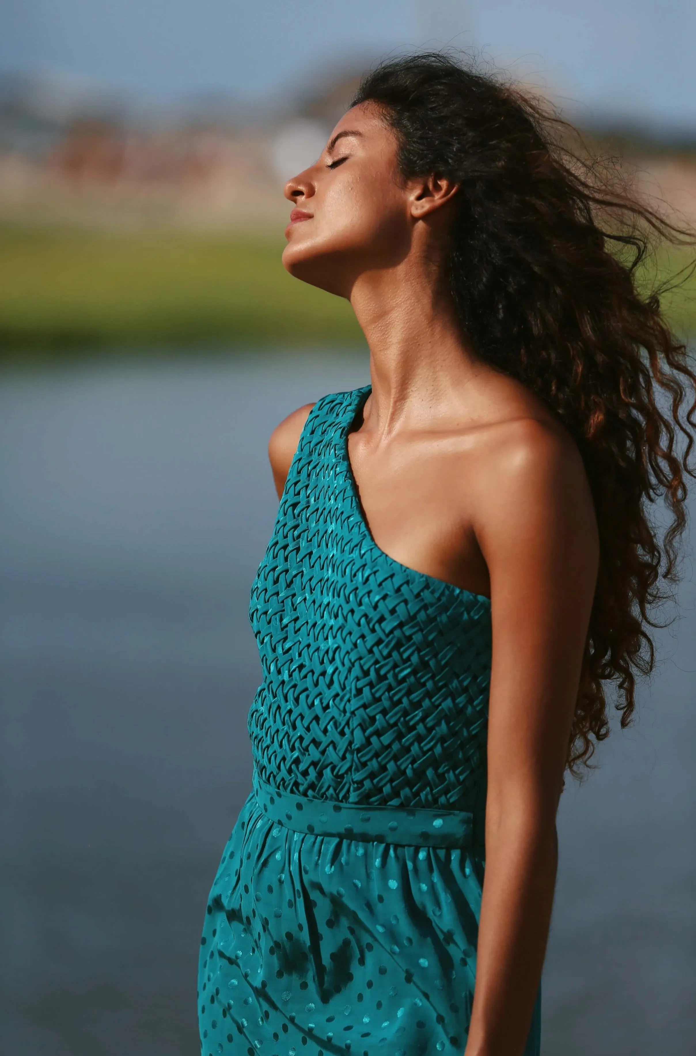 MARIANELLA DRESS