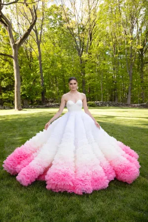 Ombre Embroidered Tulle Poppy Gown
