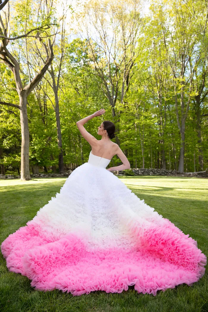 Ombre Embroidered Tulle Poppy Gown