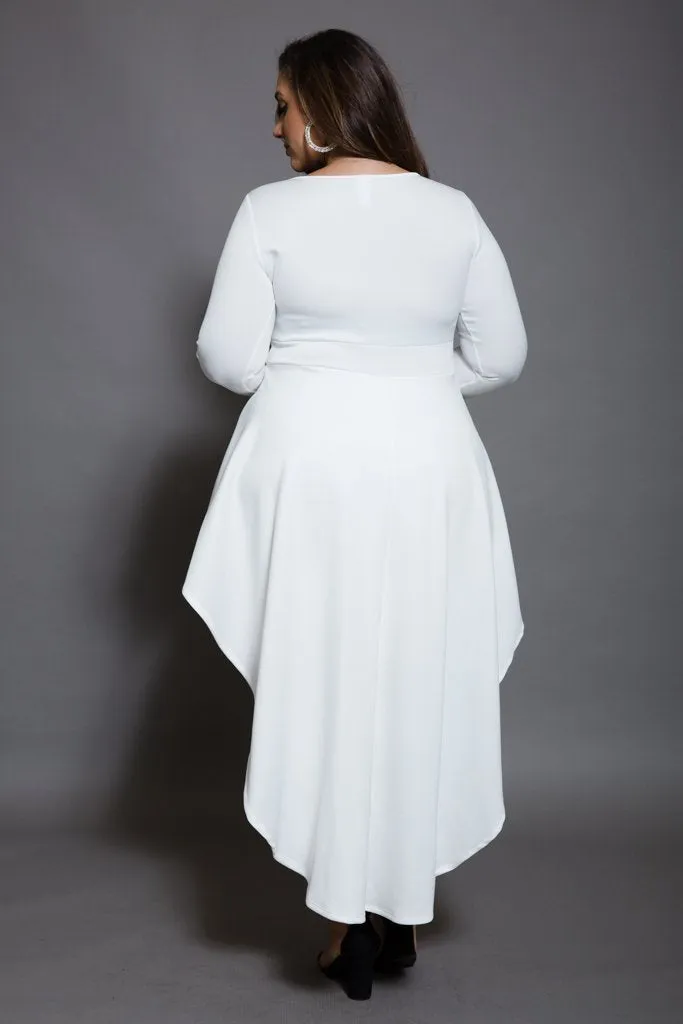 Plus Size Metallic Crochet Trim Tail Back Dress