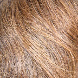 Retro Hot by Forever Young | Long Layered Wig | CLOSEOUT