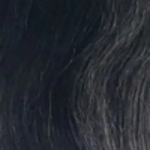 Sensationnel Synthetic Dashly Wig - UNIT 16