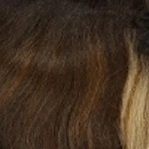Sensationnel Synthetic Hair Dashly Lace Front Wig - LACE UNIT 46