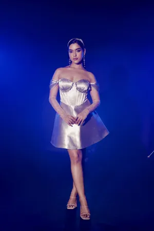 Silver Corset Dress