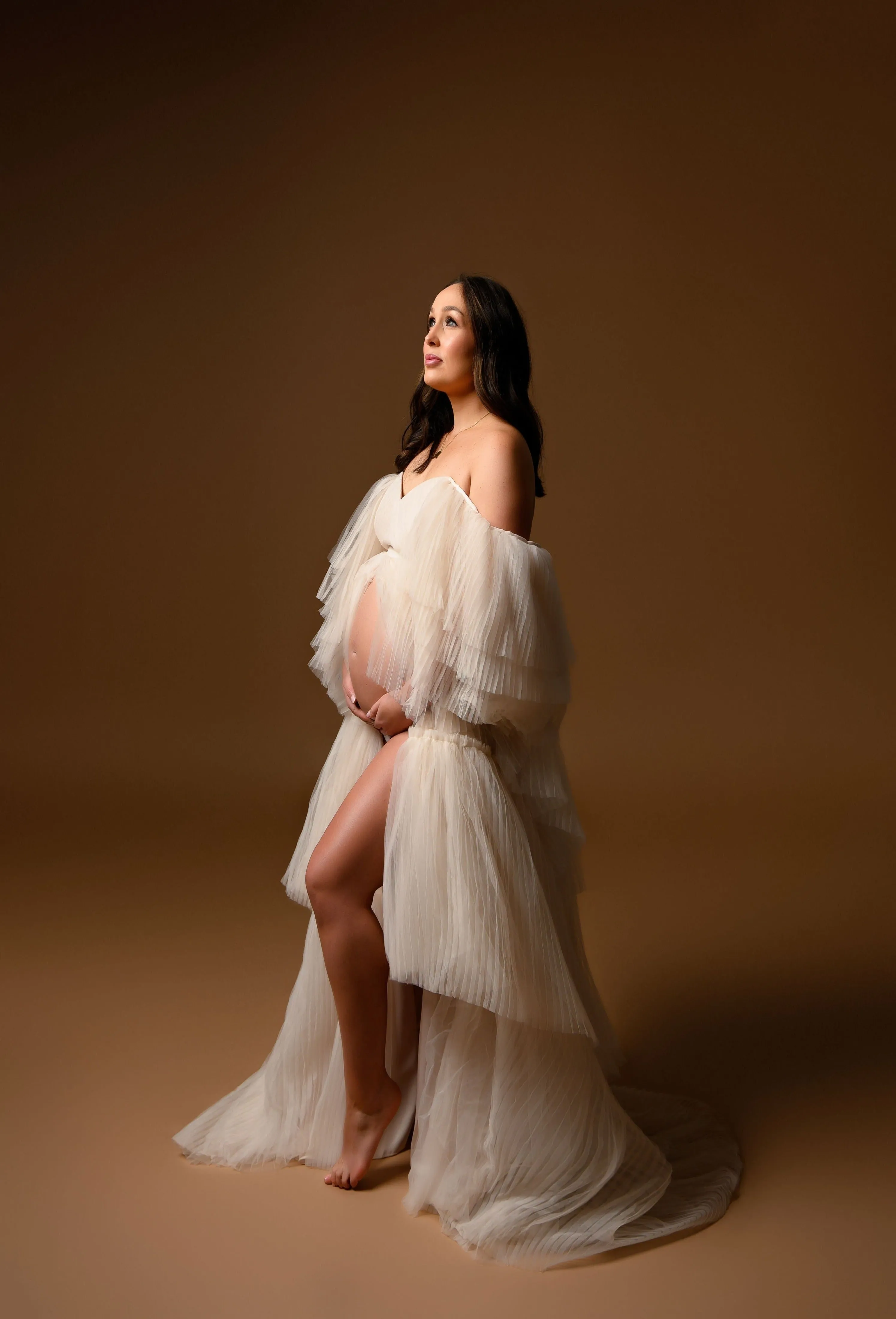 Swan Gown