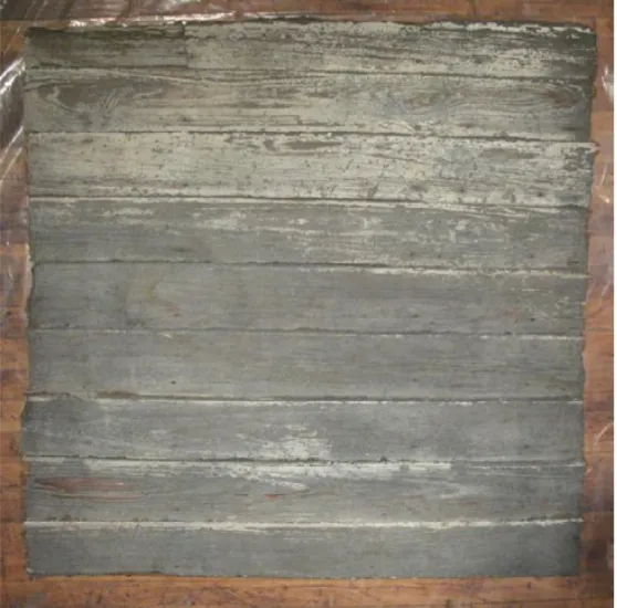 Takashi Horisaki, "Social Dress New Orleans — Exterior Siding II"