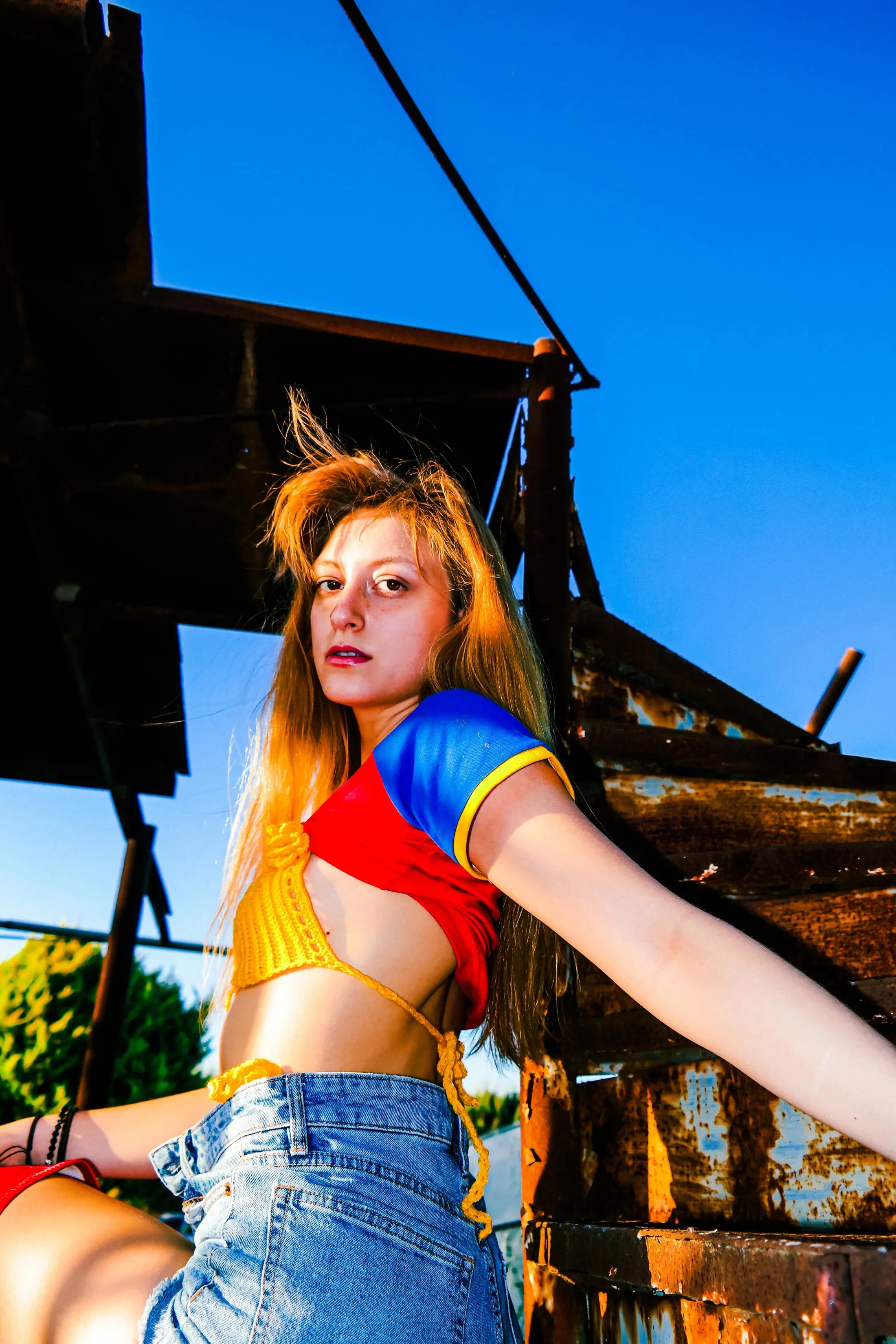The Phoenix Remix Crop Tee