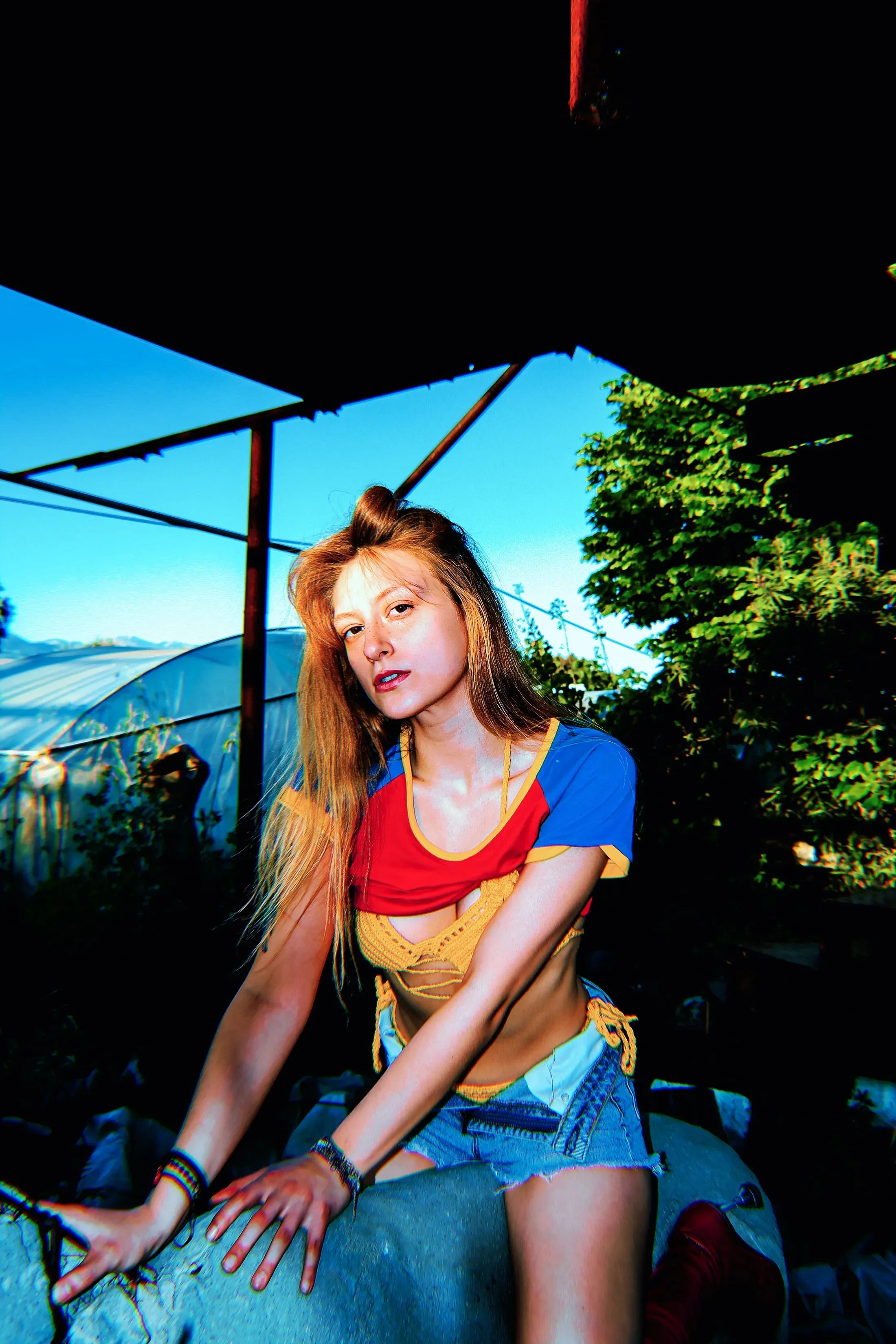 The Phoenix Remix Crop Tee