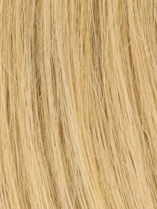 Toppiece 3003 by Louis Ferre | Human Hair Topper (Mono Base)