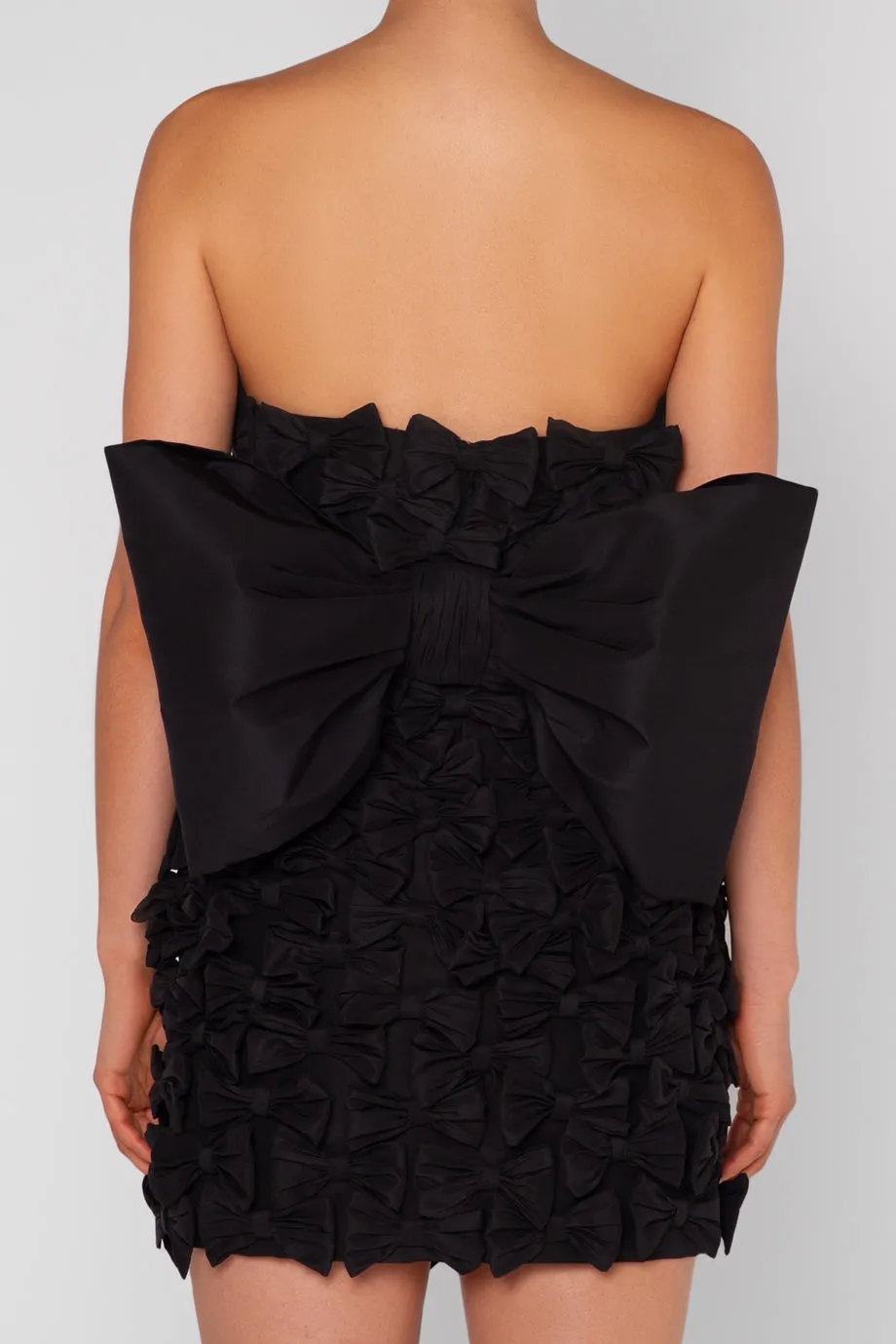 Valeria Silk Faille Mini Dress