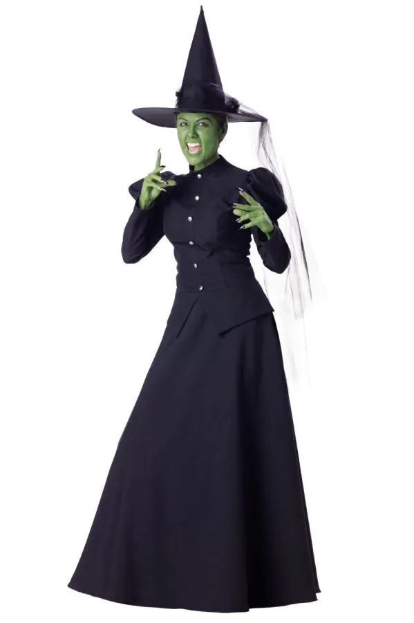 Witch Adult Small  Costume