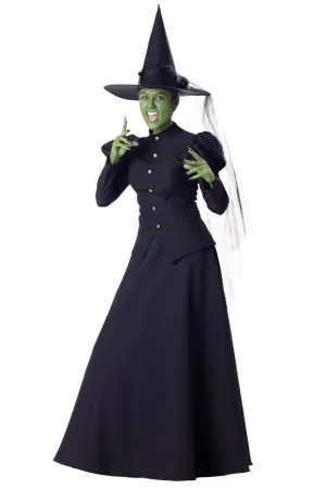 Witch Adult Small  Costume